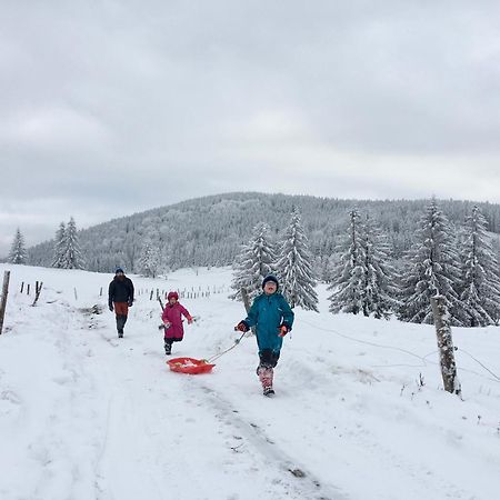 Chata Waliszow Nowy Waliszow Экстерьер фото