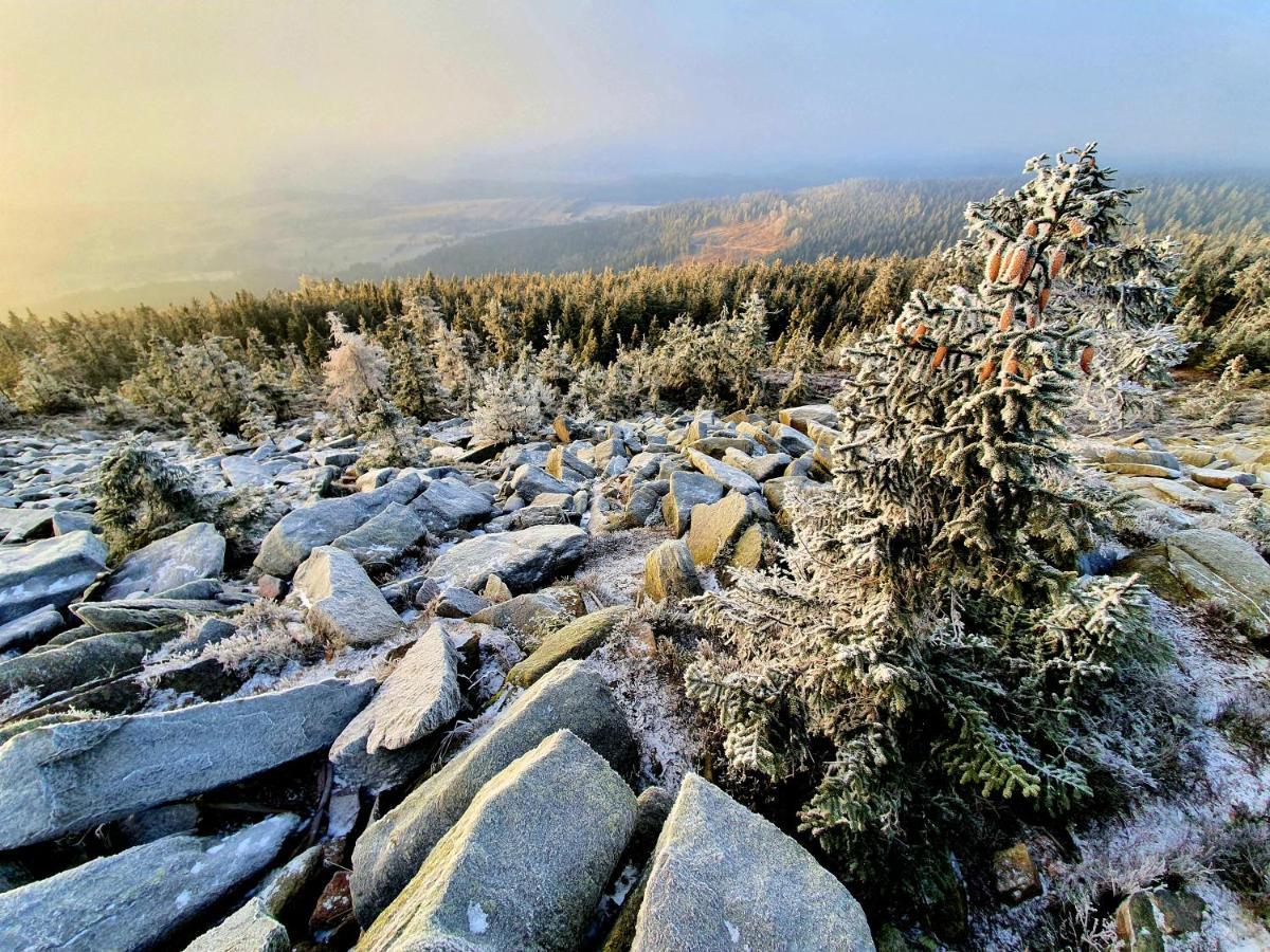 Chata Waliszow Nowy Waliszow Экстерьер фото