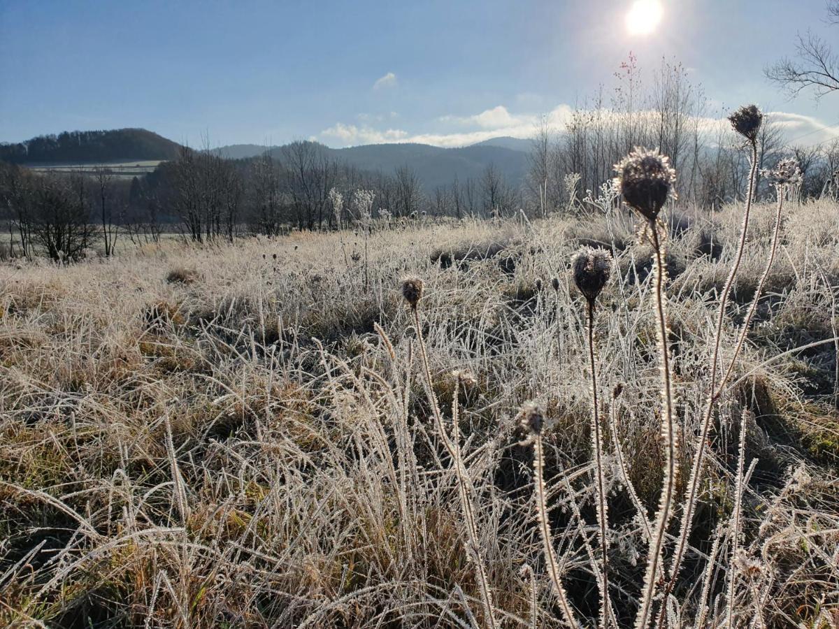 Chata Waliszow Nowy Waliszow Экстерьер фото