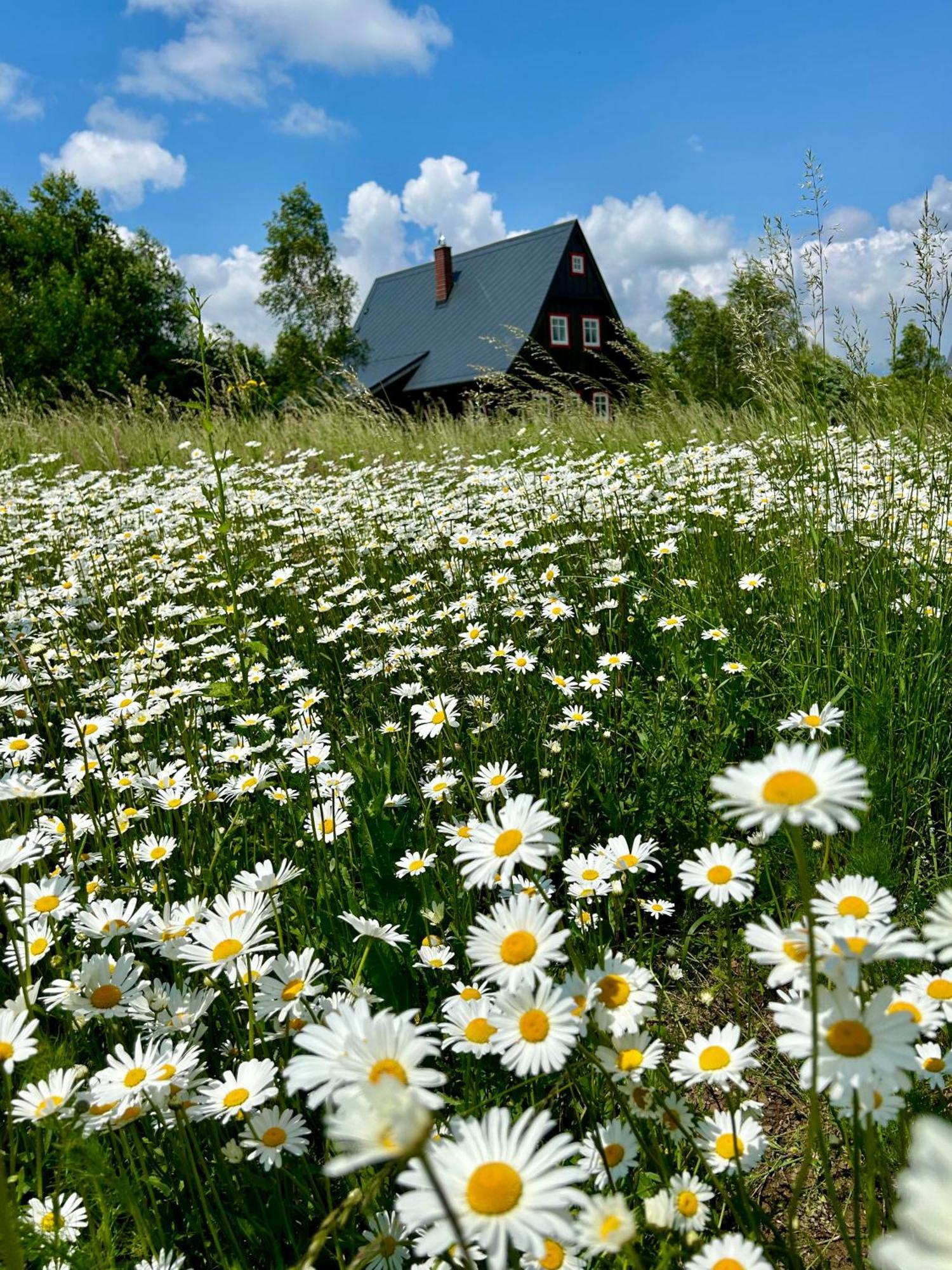 Chata Waliszow Nowy Waliszow Экстерьер фото